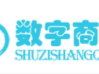 圖 上海哪里有定制開發(fā)的公司 上海網(wǎng)站建設(shè)推廣